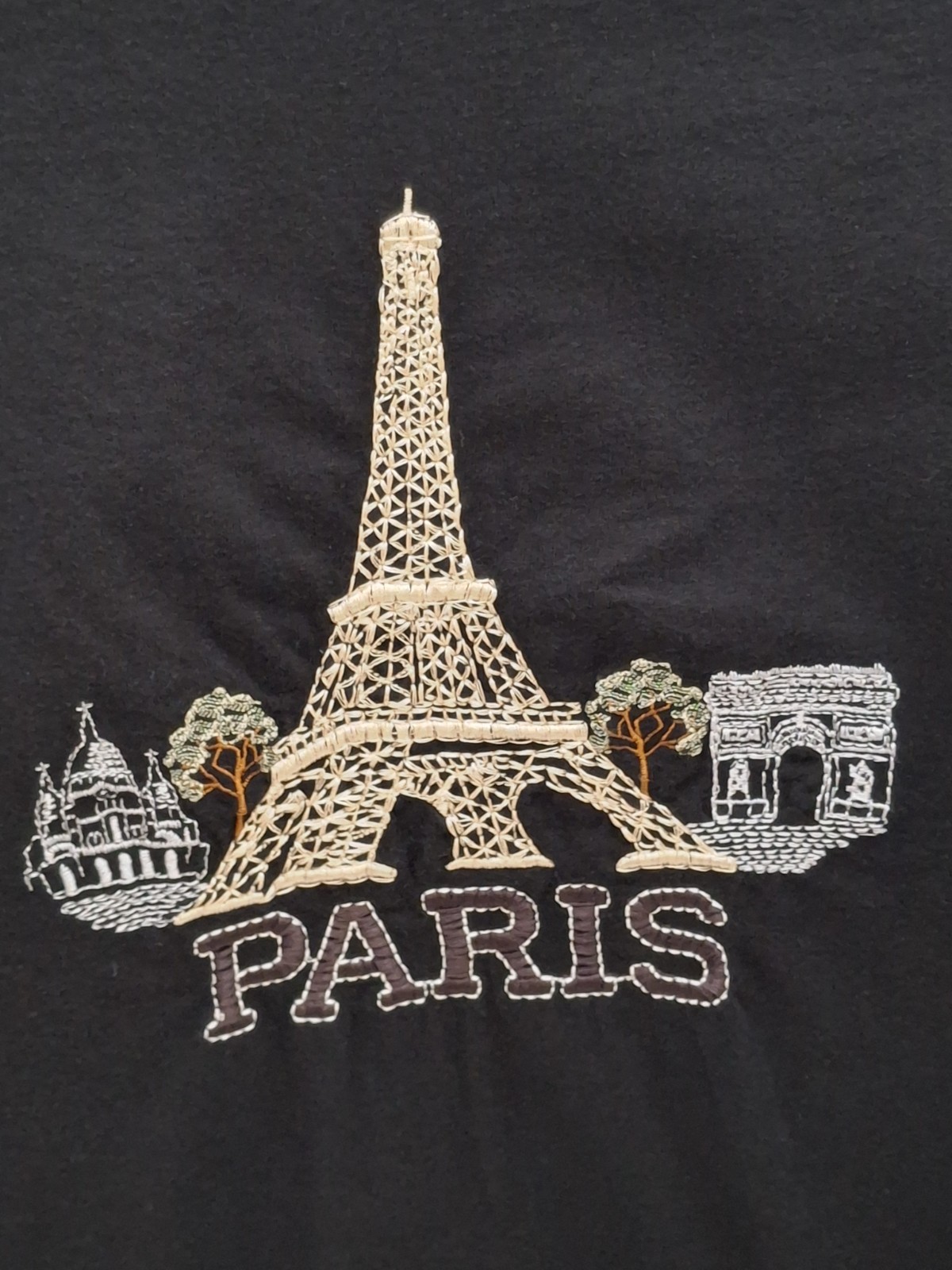 Sol’s Regent Paris Embroidered Large T Shirt