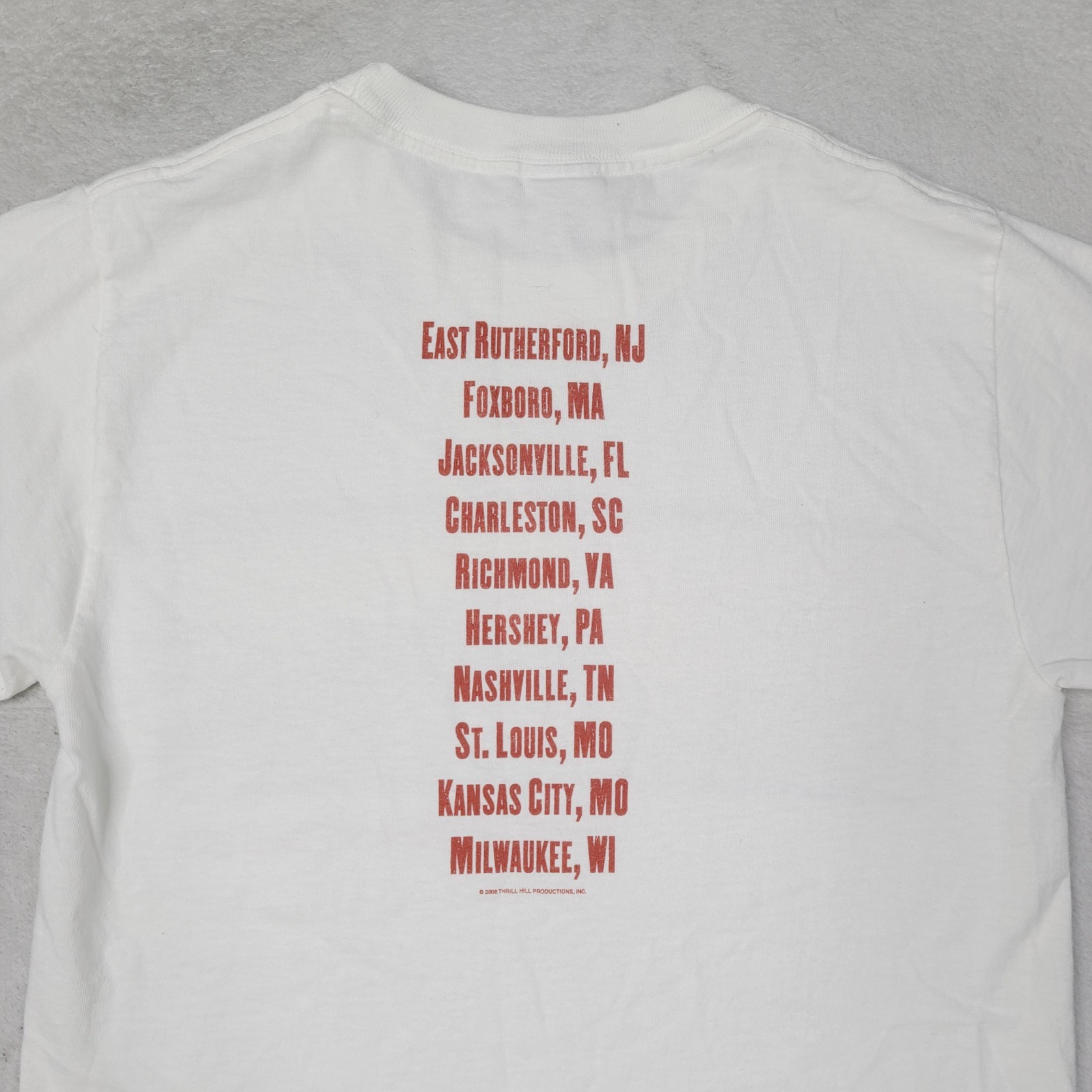 Vintage Bruce Springsteen and the EAST STREET BAND 2006 Tour T Shirt Mens Small