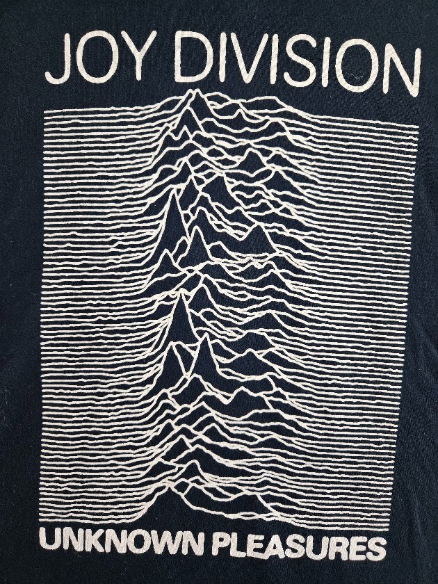 Joy Division Shirt Mens Large Unknown Pleasures Black Band Tee
