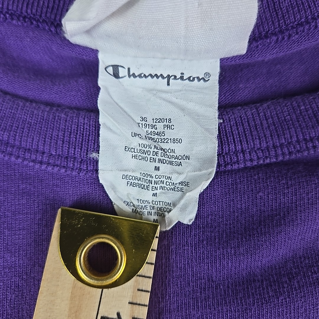 Champion Embroidered Logo T-Shirt Men’s Size Medium Purple Classic Sportswear