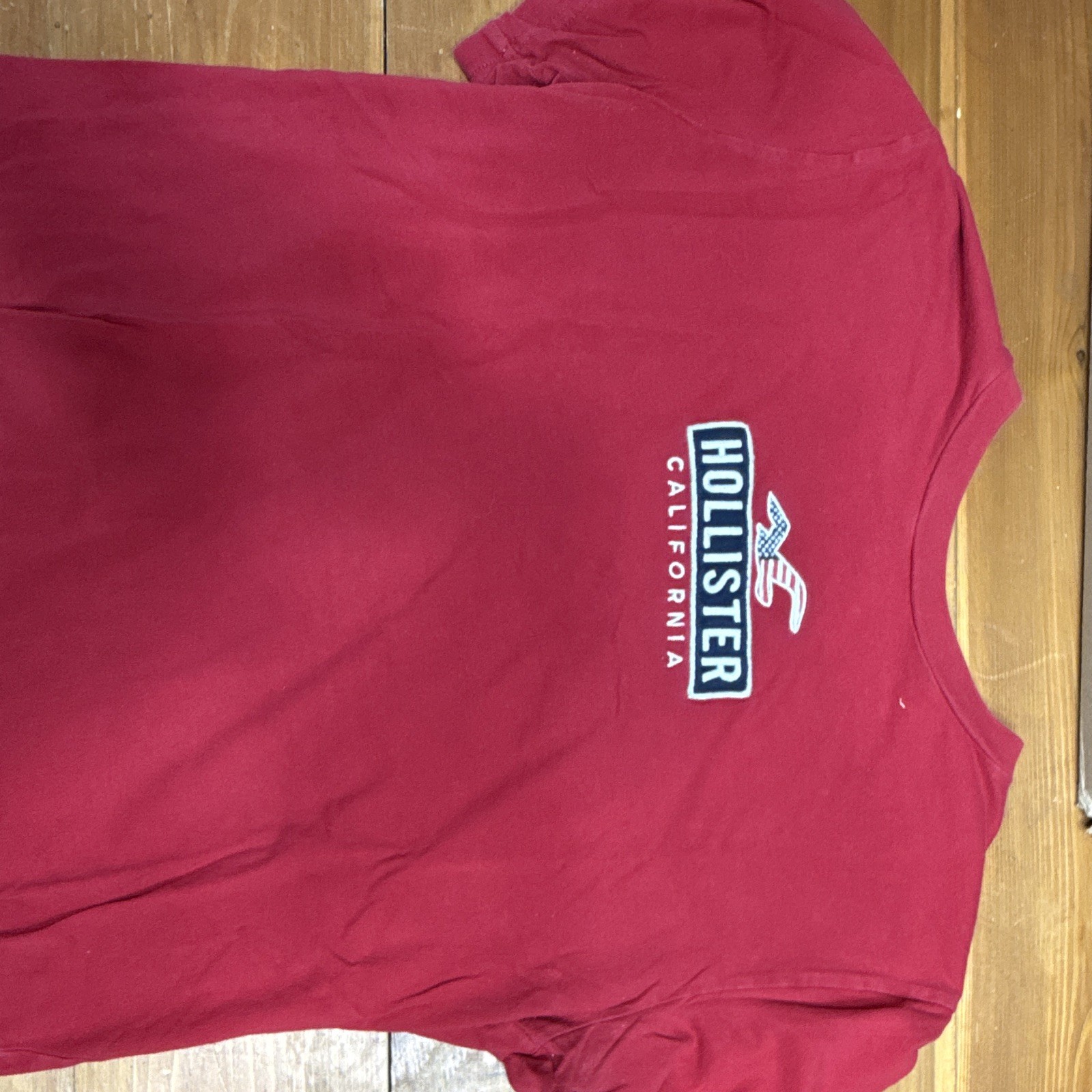Hollister California Men’s Red Logo Seagull Crew Neck Knit Cotton T-Shirt M