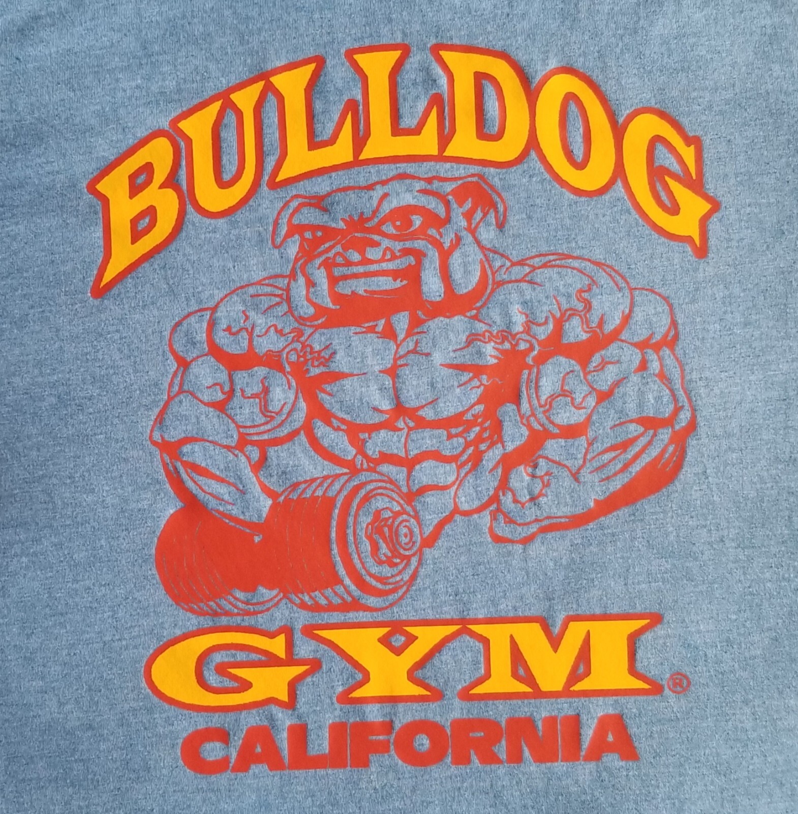 Bulldog Gym Venice California Bodybuilding Muscle Royal / Vintage Gold T-Shirt