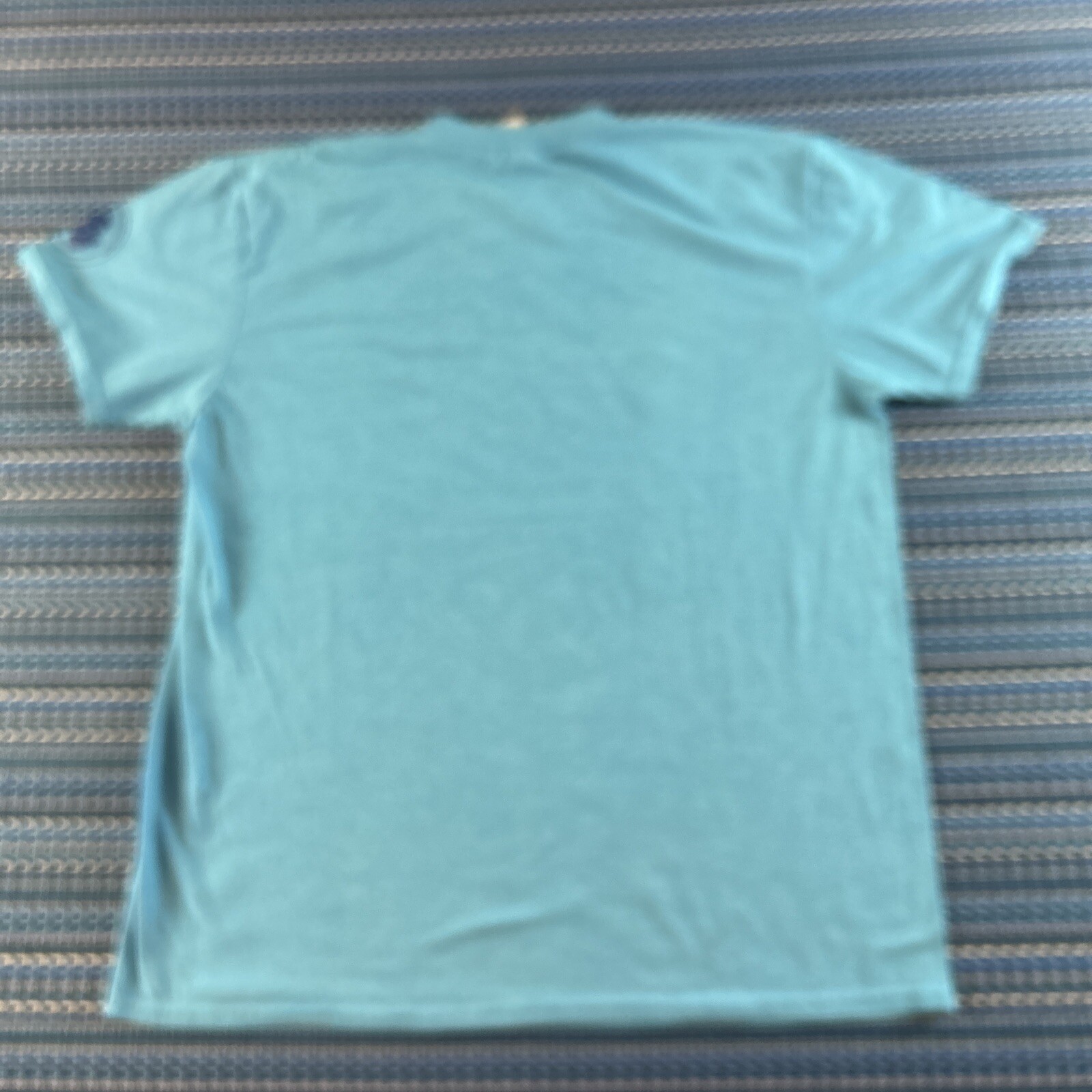 Diamond Bear Skinny J’s Shirt Mens XL Blue Pints For Paws Arkansas Beer #7183