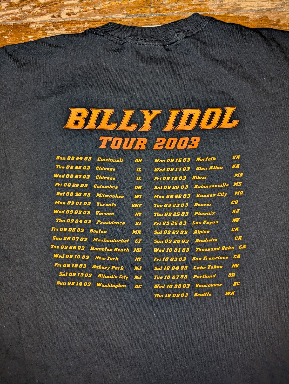 Vtg Y2K 03 Billy Idol Rock Tour Shirt Gildan Heavy L Punk Double Sided Graphic