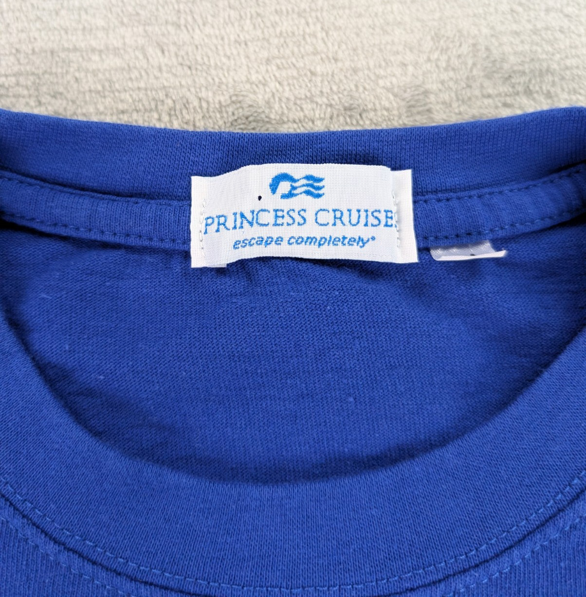 Princess Cruises T Shirt Inside Passage Blue Short Sleeve Men Medium