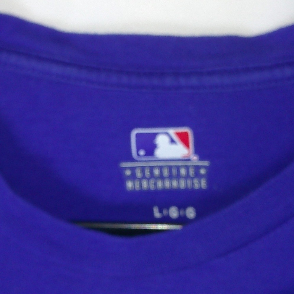 Mens MLB Los Angeles Dodgers Graphic T-Shirt Royal Blue Large LA Logo Tee