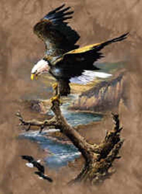 Eagle on the River NEW t-shirt M adult The Mountain vintage leather label tee