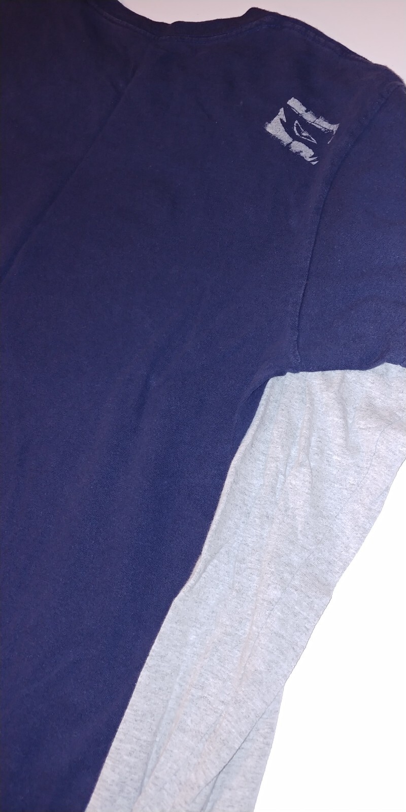 Birdhouse 90’s Y2K Tony Hawk Lg blue with gray longsleeve shirt front/back print
