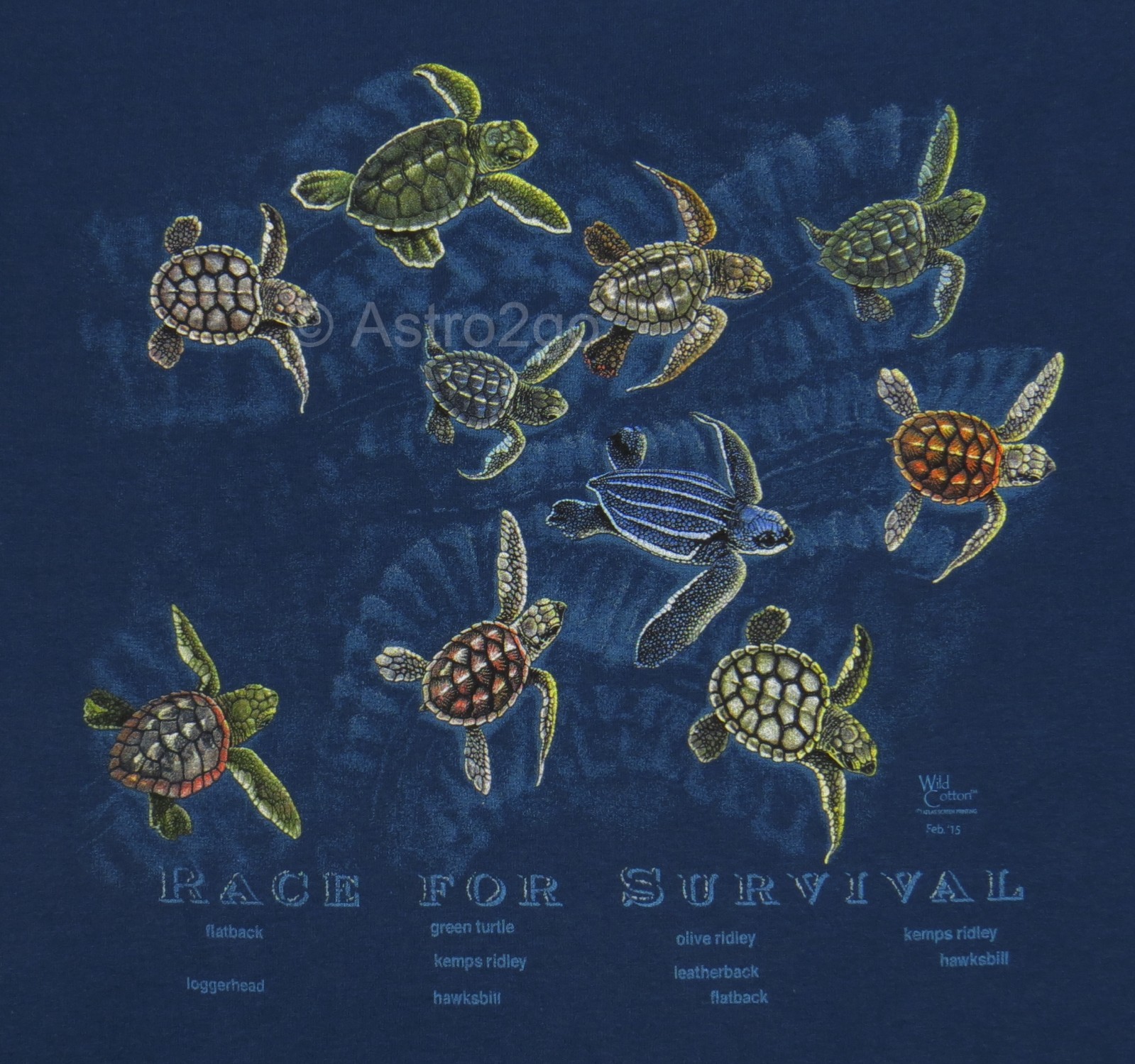 RACE FOR SURVIVAL-Sea Turtles Marine Ocean Aquatic Science Nature T shirt S, 3XL