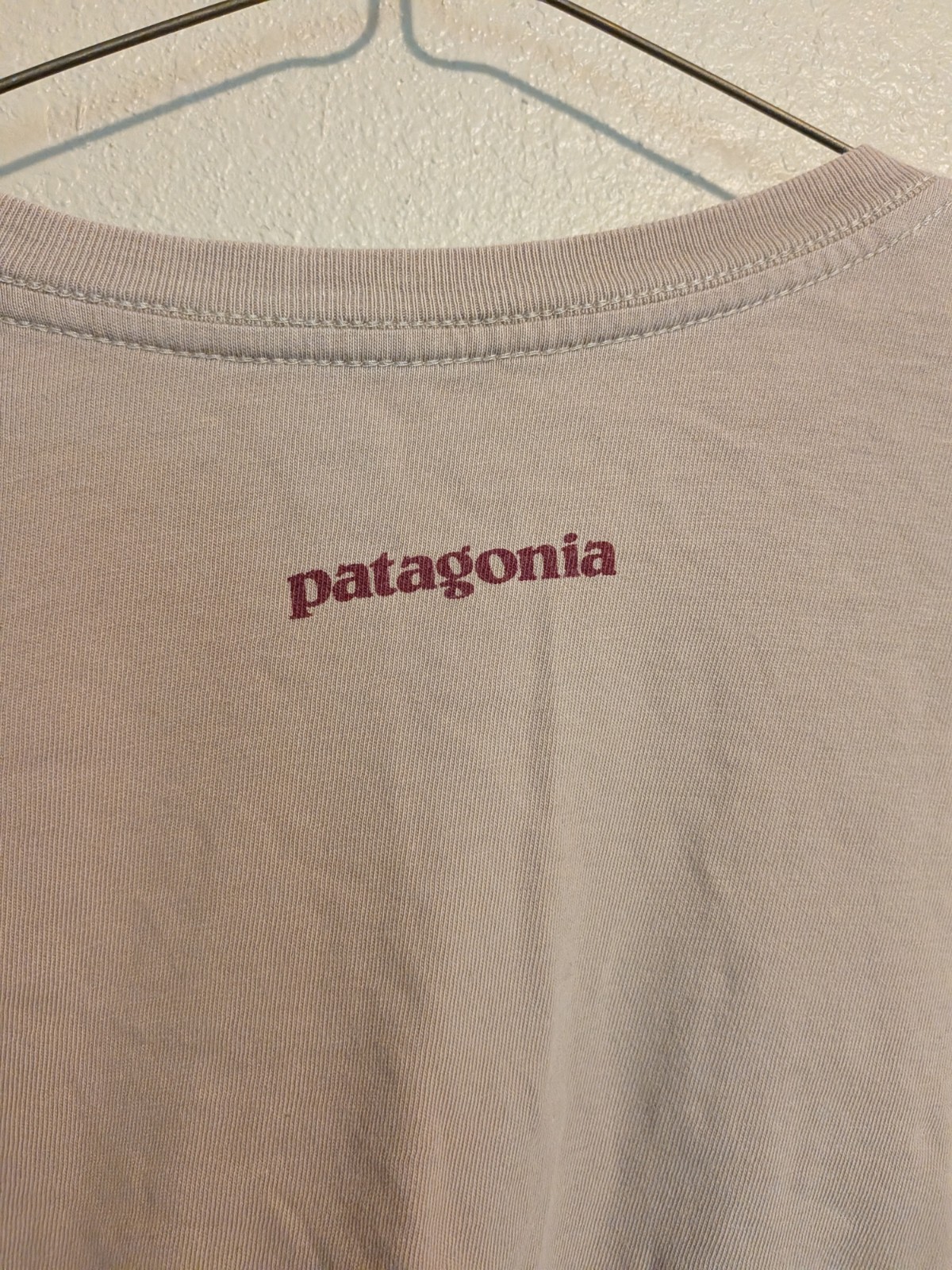 Patagonia Climate Counts Kill The Gas Pump Men’s Size XL Beige LS Organic Cotton