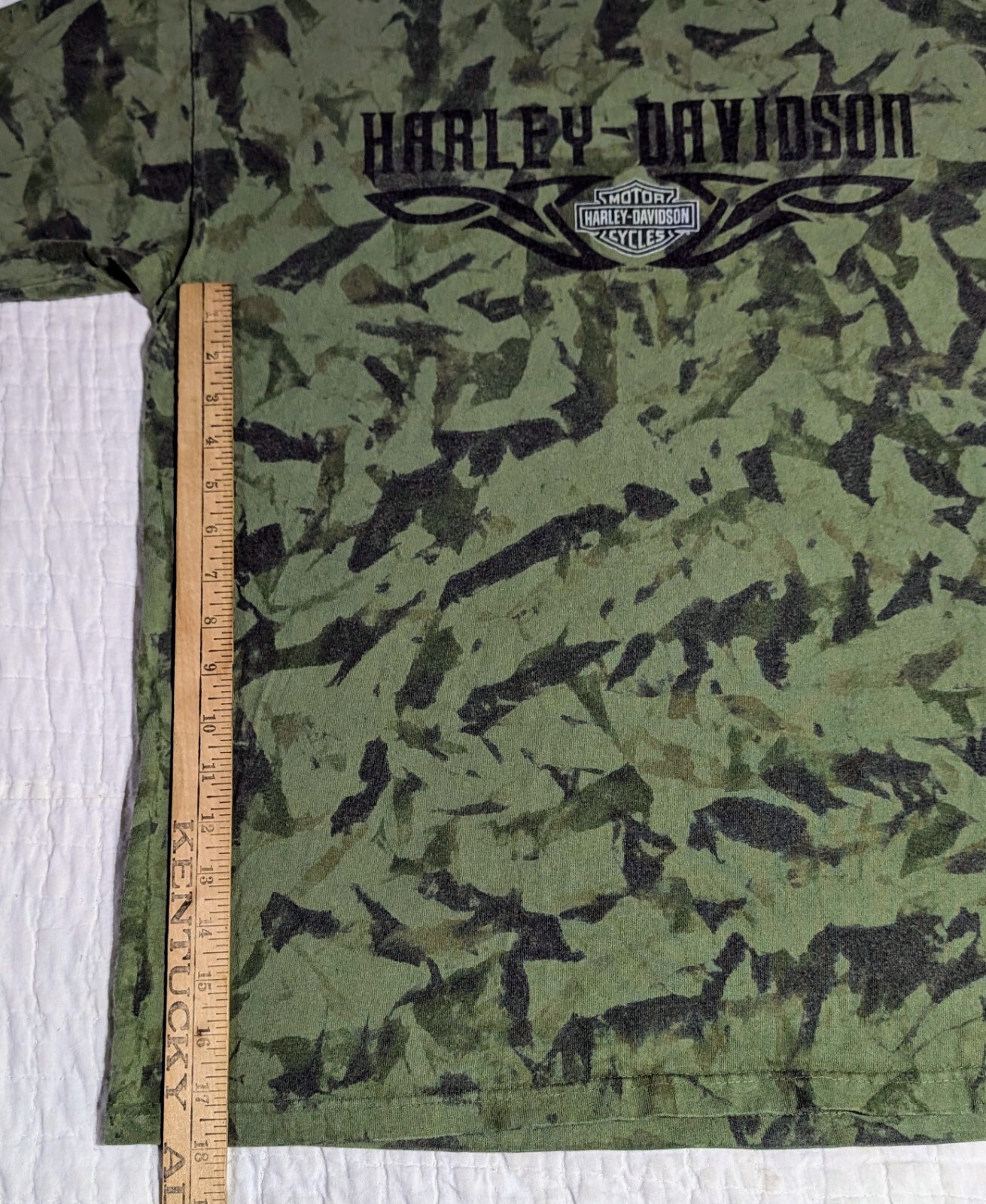RARE Harley Davidson GHOST TOWN Men’s L (No Tag) Green Crinkle Dye Y2K NC Eagle