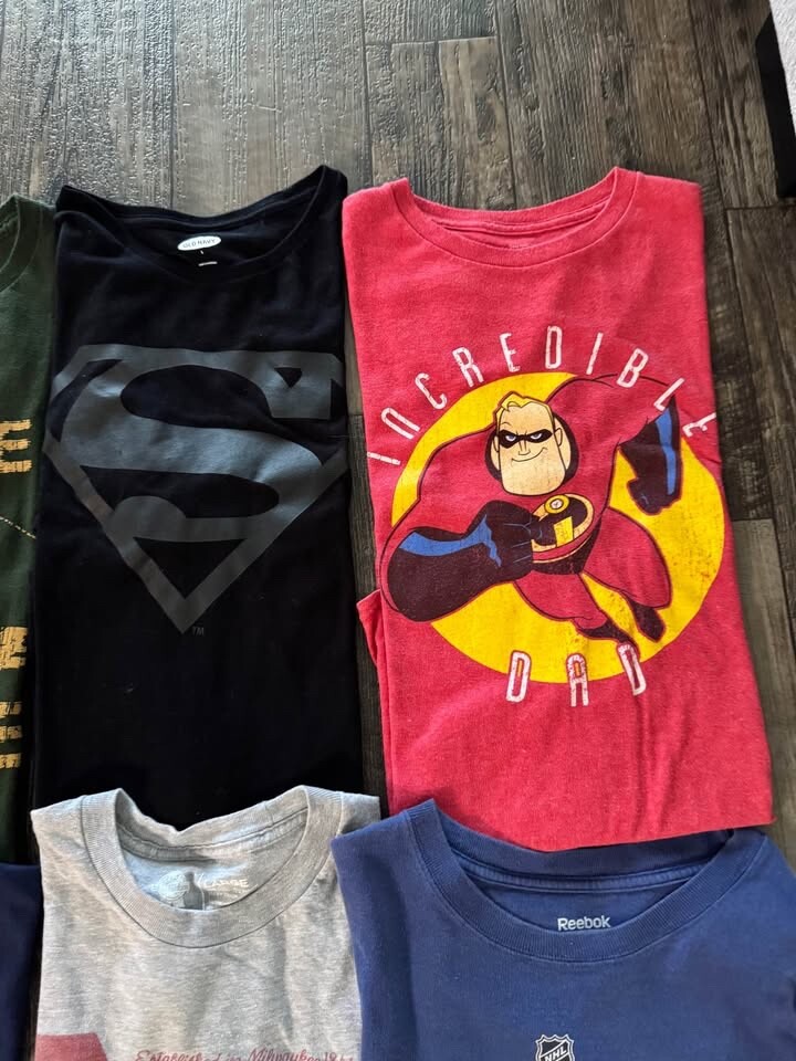Lot of 12 Men’s Large T-Shirts