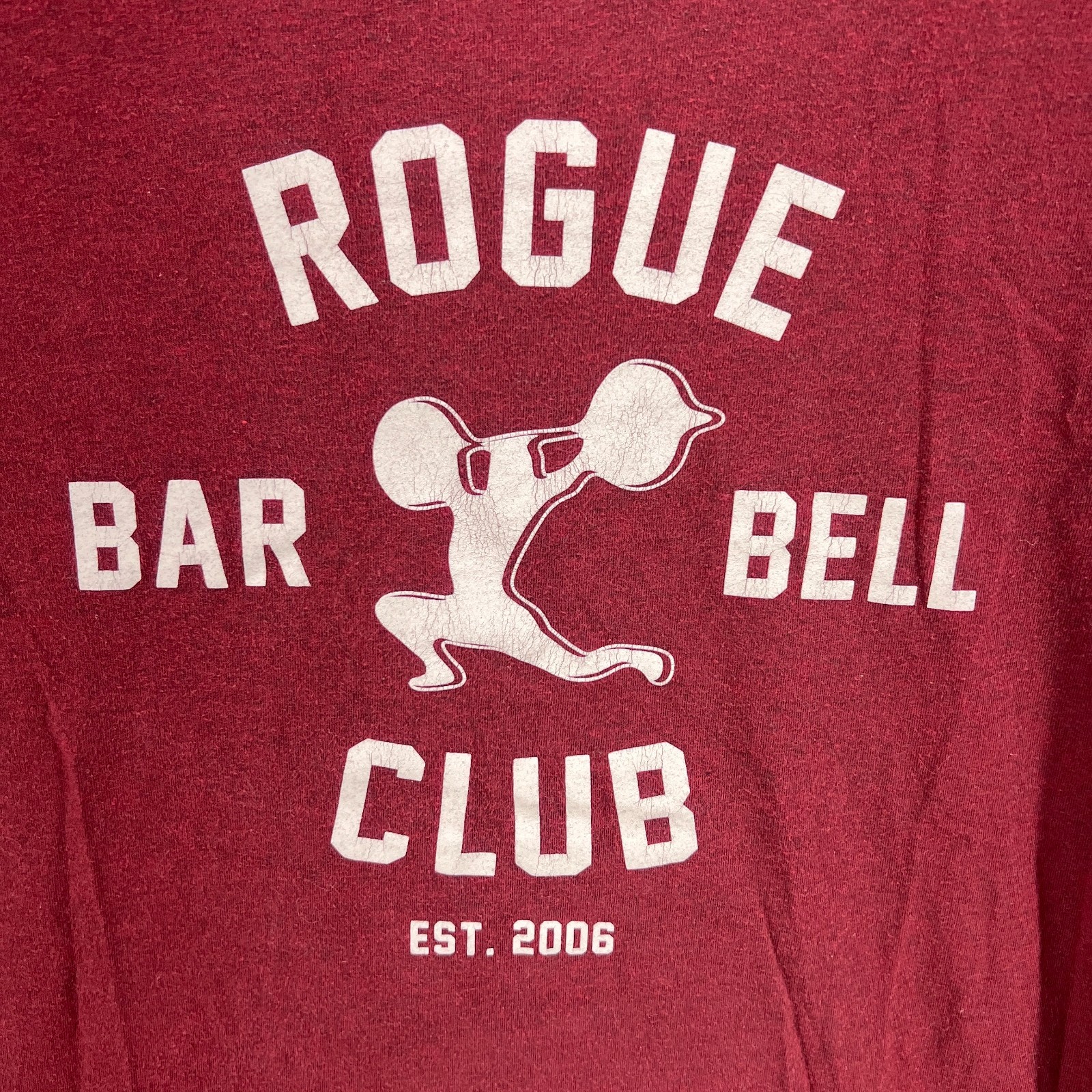 Rogue Fitness T Shirt Lot of 2 Shirt Made in USA Single Stitch Large Barbell