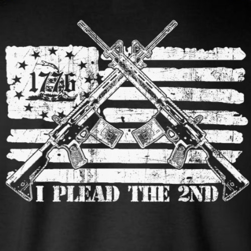 I Plead The 2nd Amendment Pro-Gun T-Shirt / Firearm Rights American Flag 1776 2A
