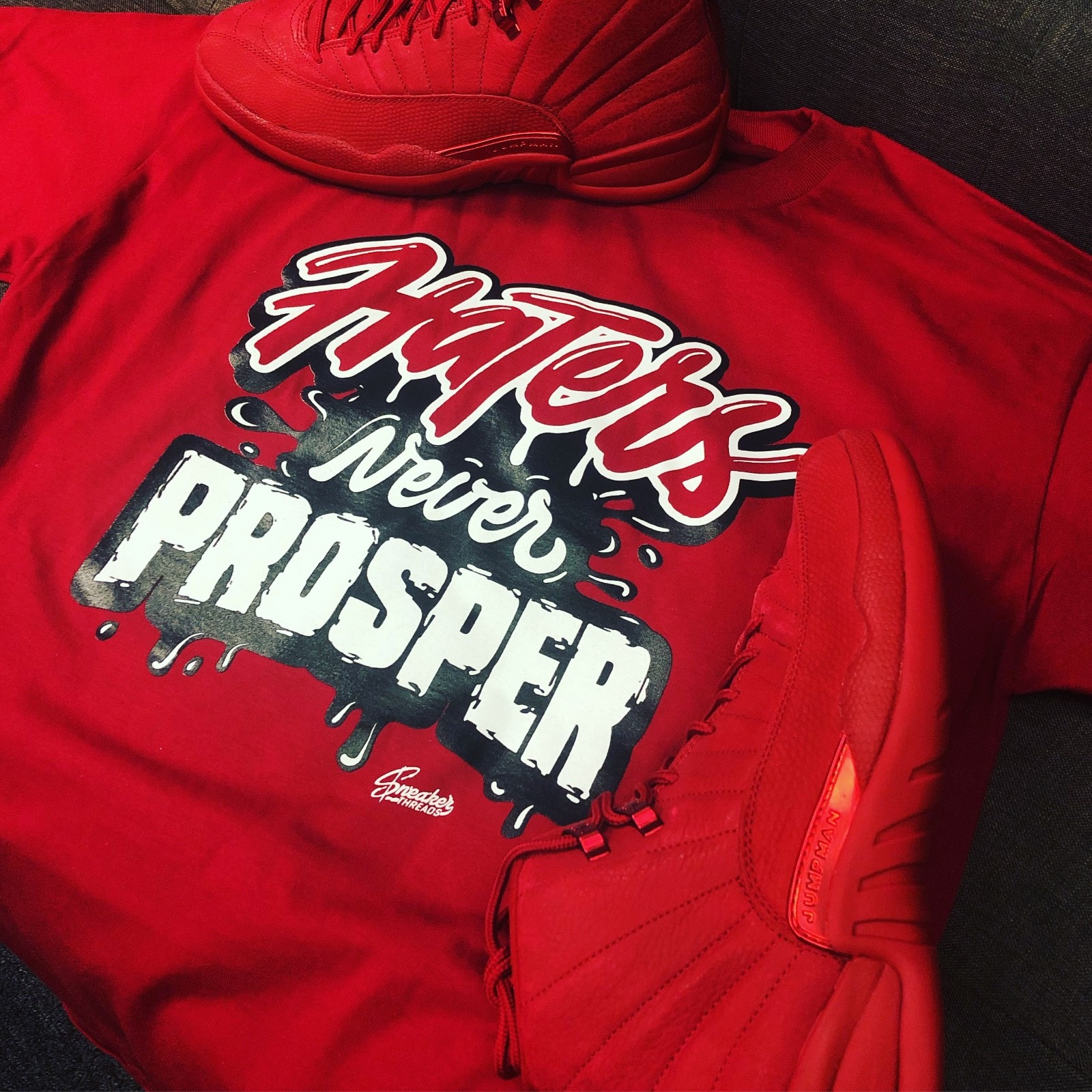 Shirt To Match Jordan 12 Gym Red – Never Prosper Shirt