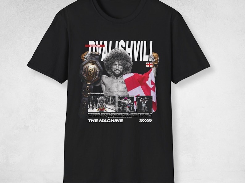 Gildan Mens Georgian MMA Champion Vintage Bootleg Graphic Tee T-Shirt
