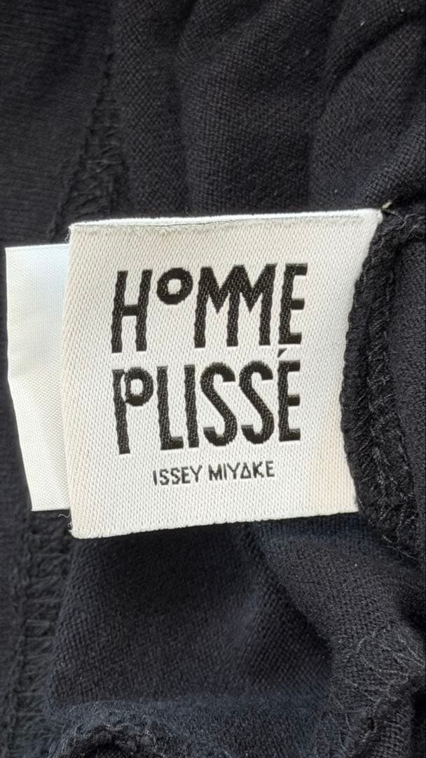 Homme Plissé Issey Miyake Archive-Style Pleated Mock-Neck Size 2