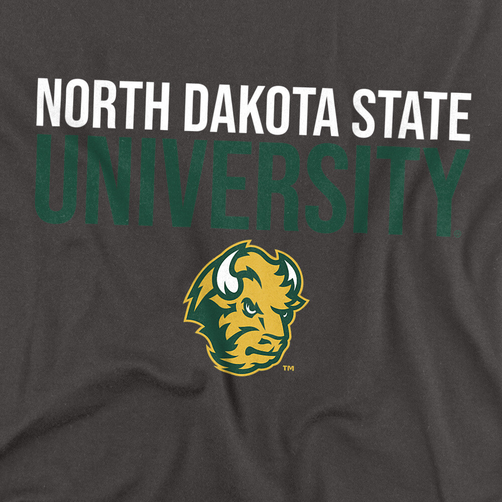 North Dakota State University Adult T-Shirt Stacked, Charcoal, S-5XL