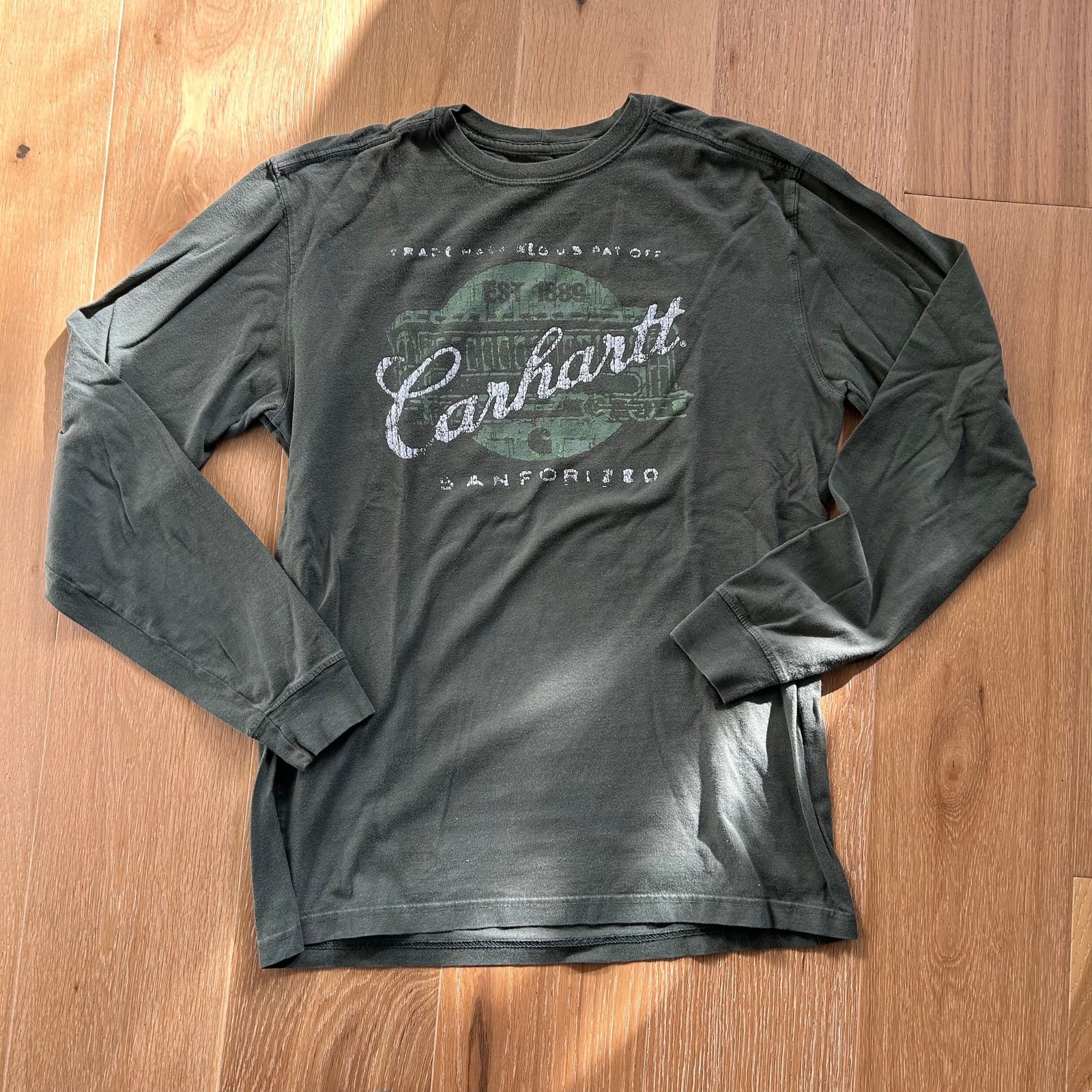 Carhartt Green Relaxed Fit Long-Sleeve Graphic T