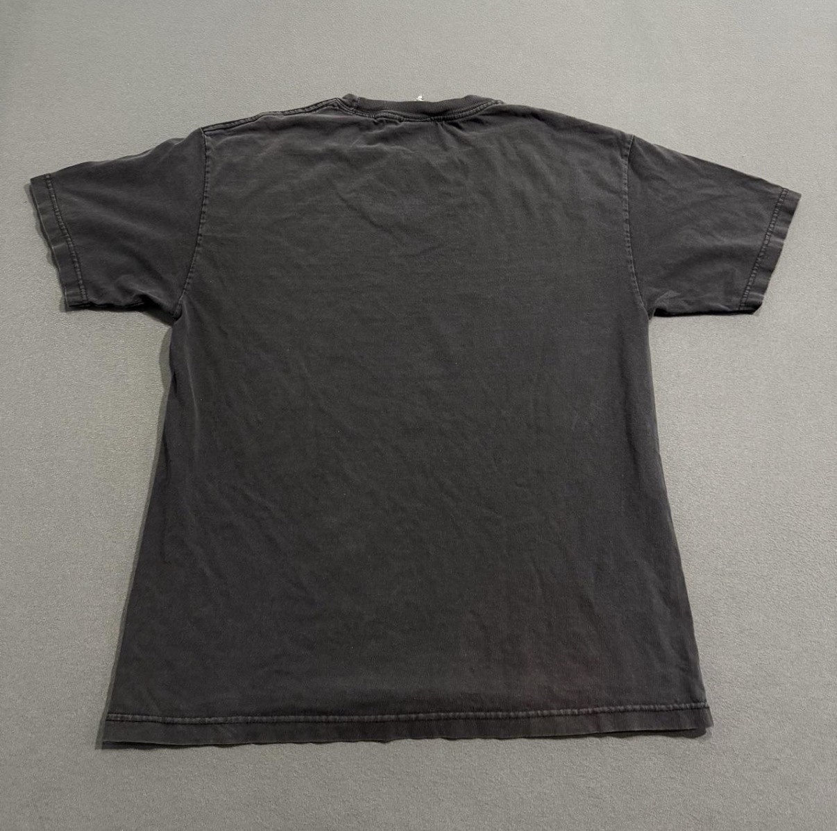 Rogue Status “Philly Blane” graphic t-shirt VTG Y2K 90s Skater Grunge Rob Dyrdek