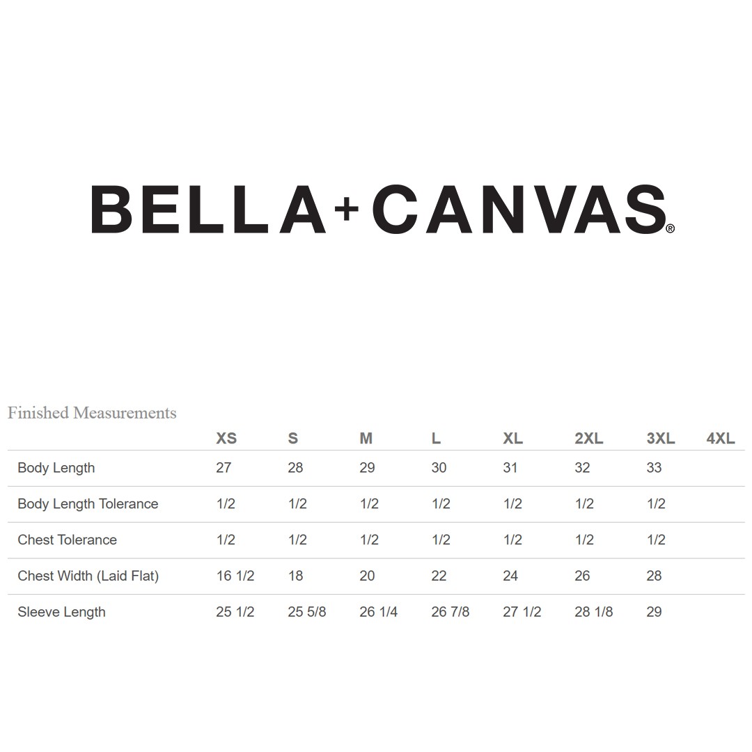 2 Pack Of Bella + Canvas 3501CVC Unisex CVC Jersey Long Sleeve T-Shirt