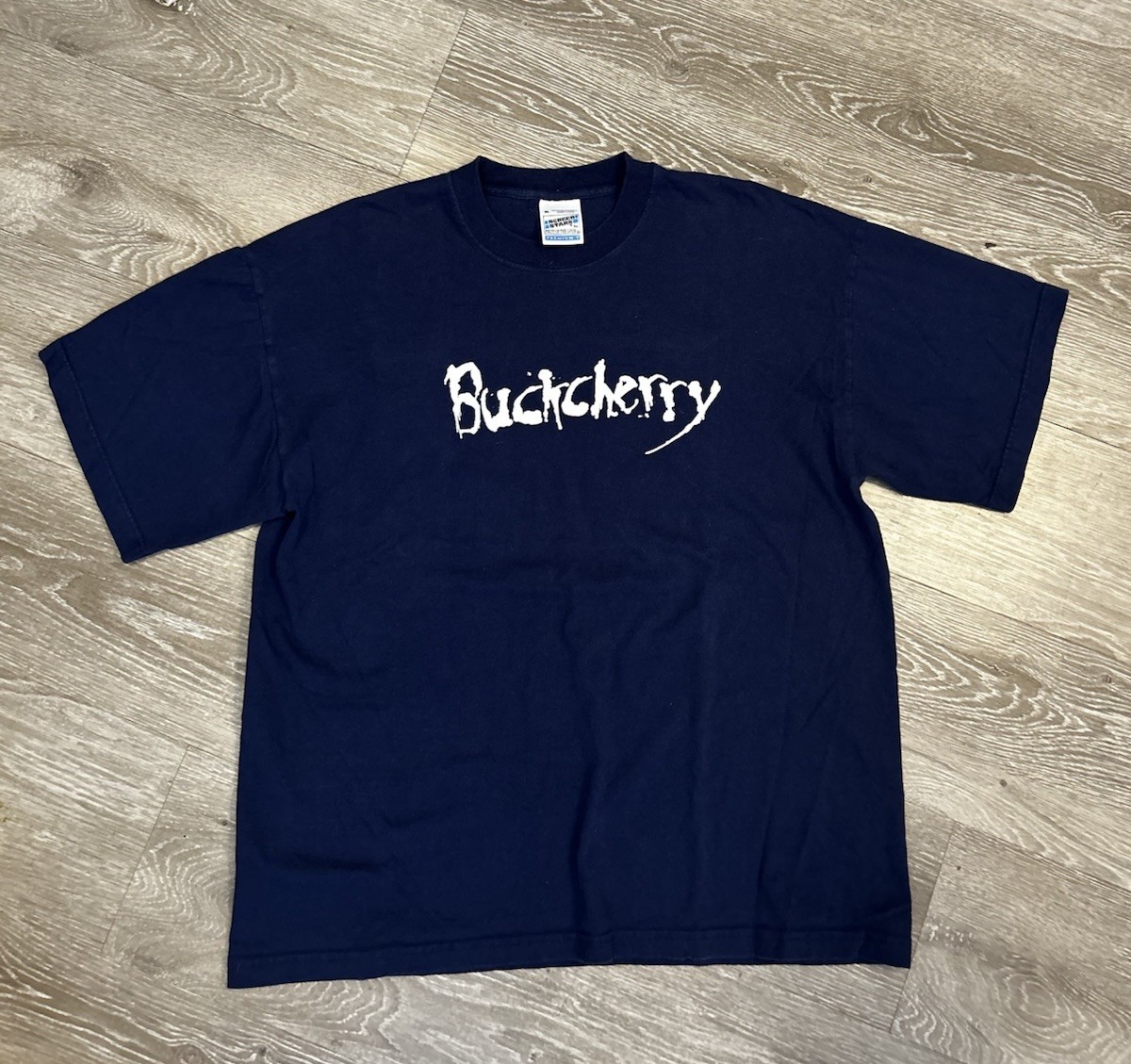 Vintage 90s Faded Buckcherry Tour Band T Shirt Size XL on Screen Stars Tag