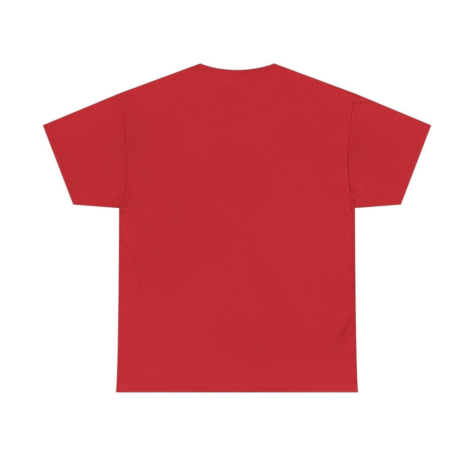 Port Huron Flags 1962-1981 Michigan Hockey T-shirt