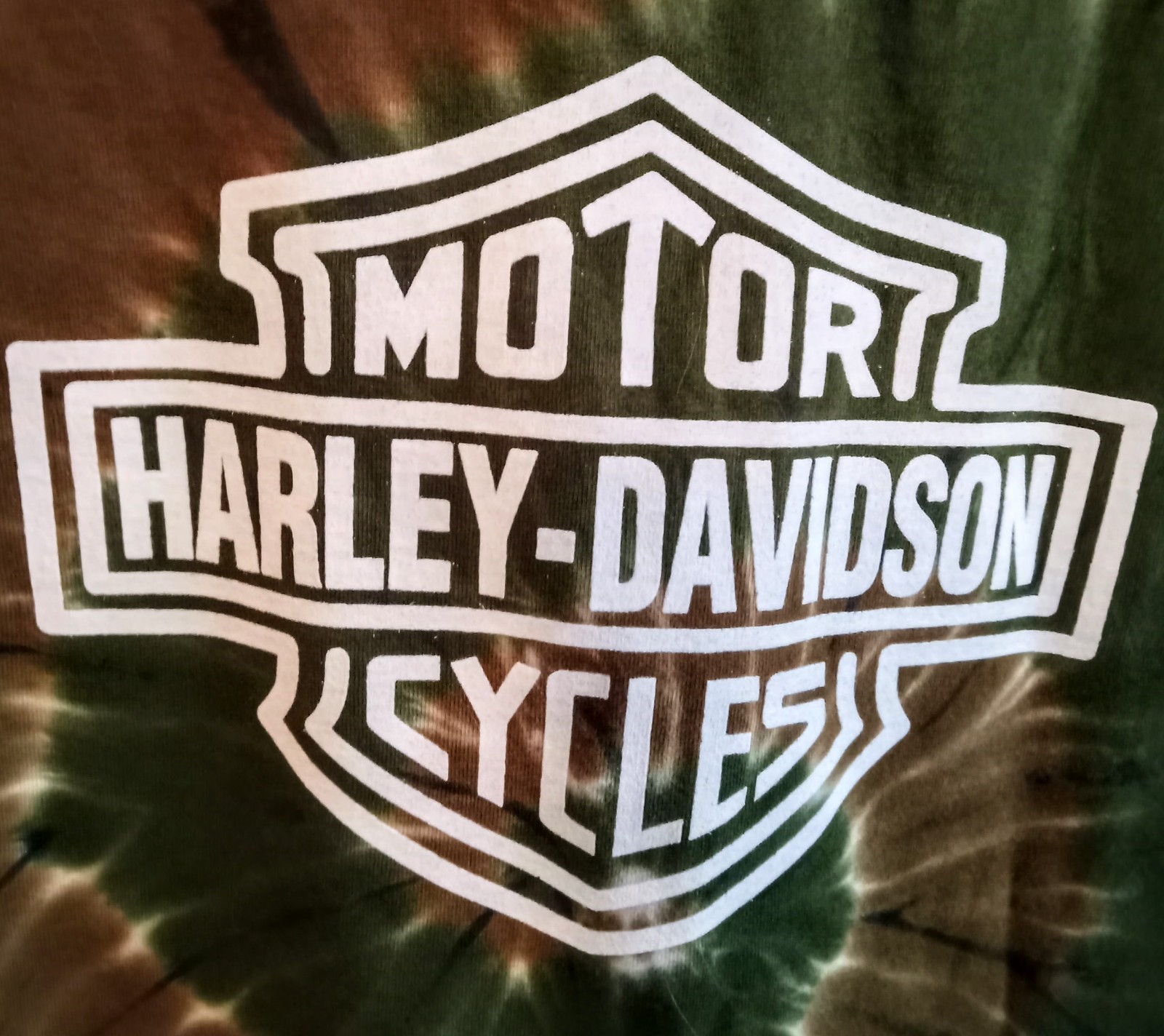 Harley-Davidson T-Shirt-Graphic Print Back-Front Logo-Chest 44in-Lg-pre-owned