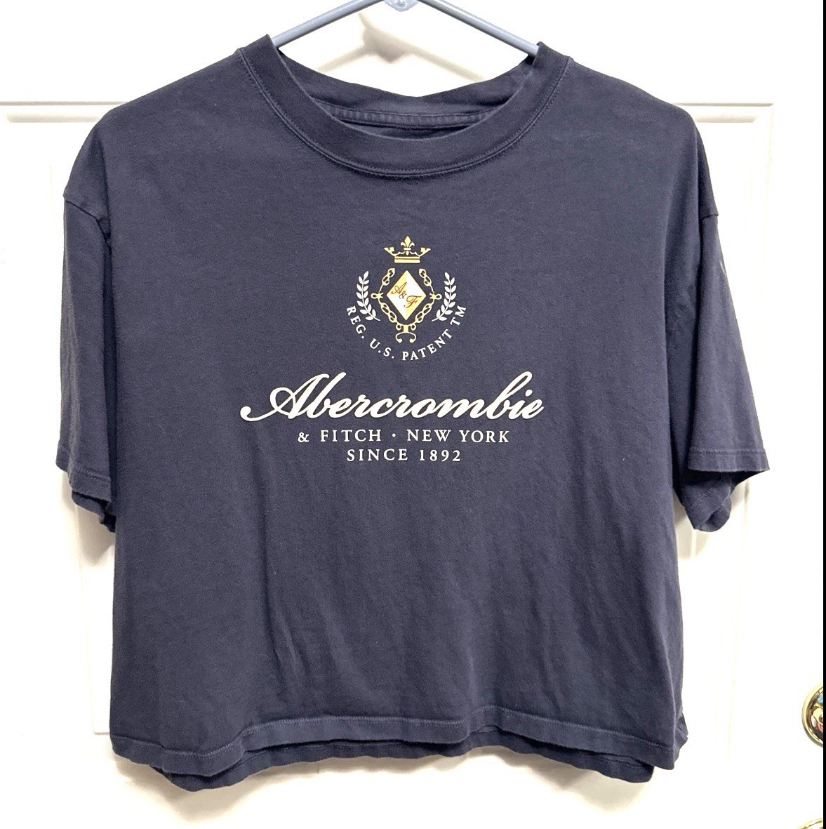 Women’s Abercrombie & FItch Cropped Crest Logo Tee Boxy Y2K Inspired Preppy M