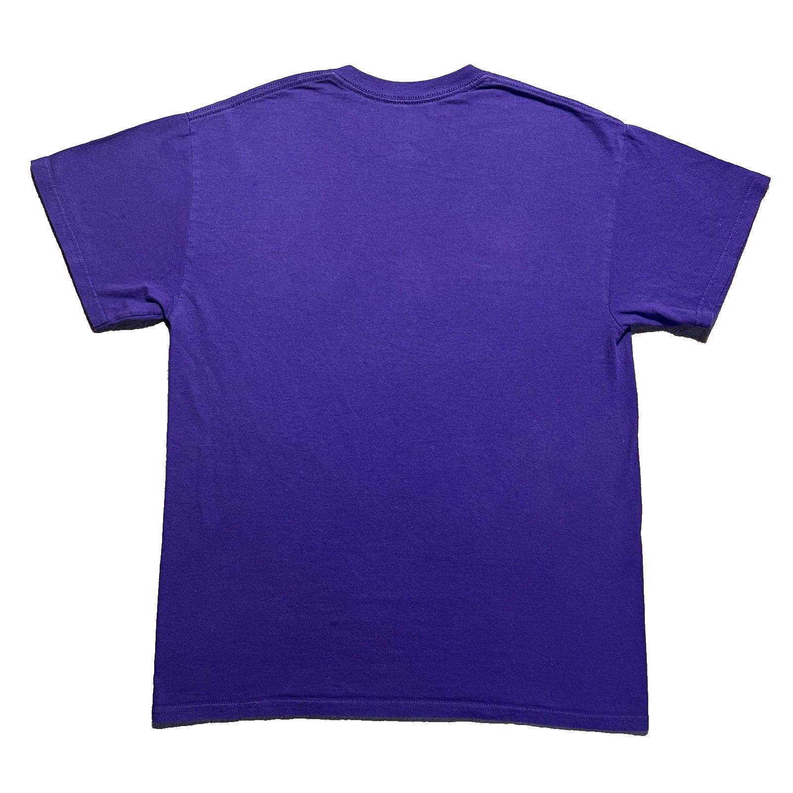 Vintage Colorado Rockies T Shirt Mens M Purple Colorado Territory MLB Y2K