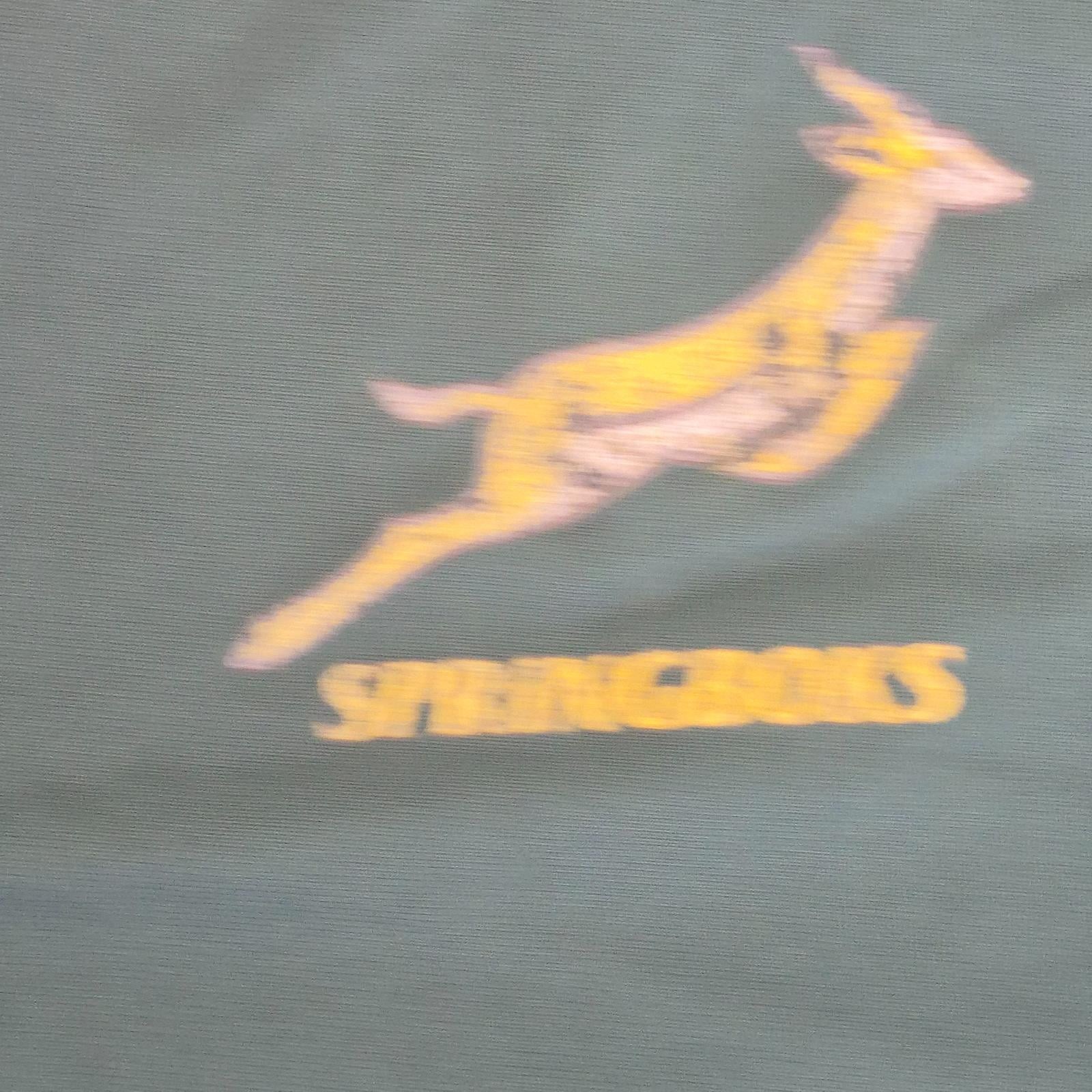 SOUTH AFRICA Top Medium Green Mens Round Neck Short Sleeve Asics Training