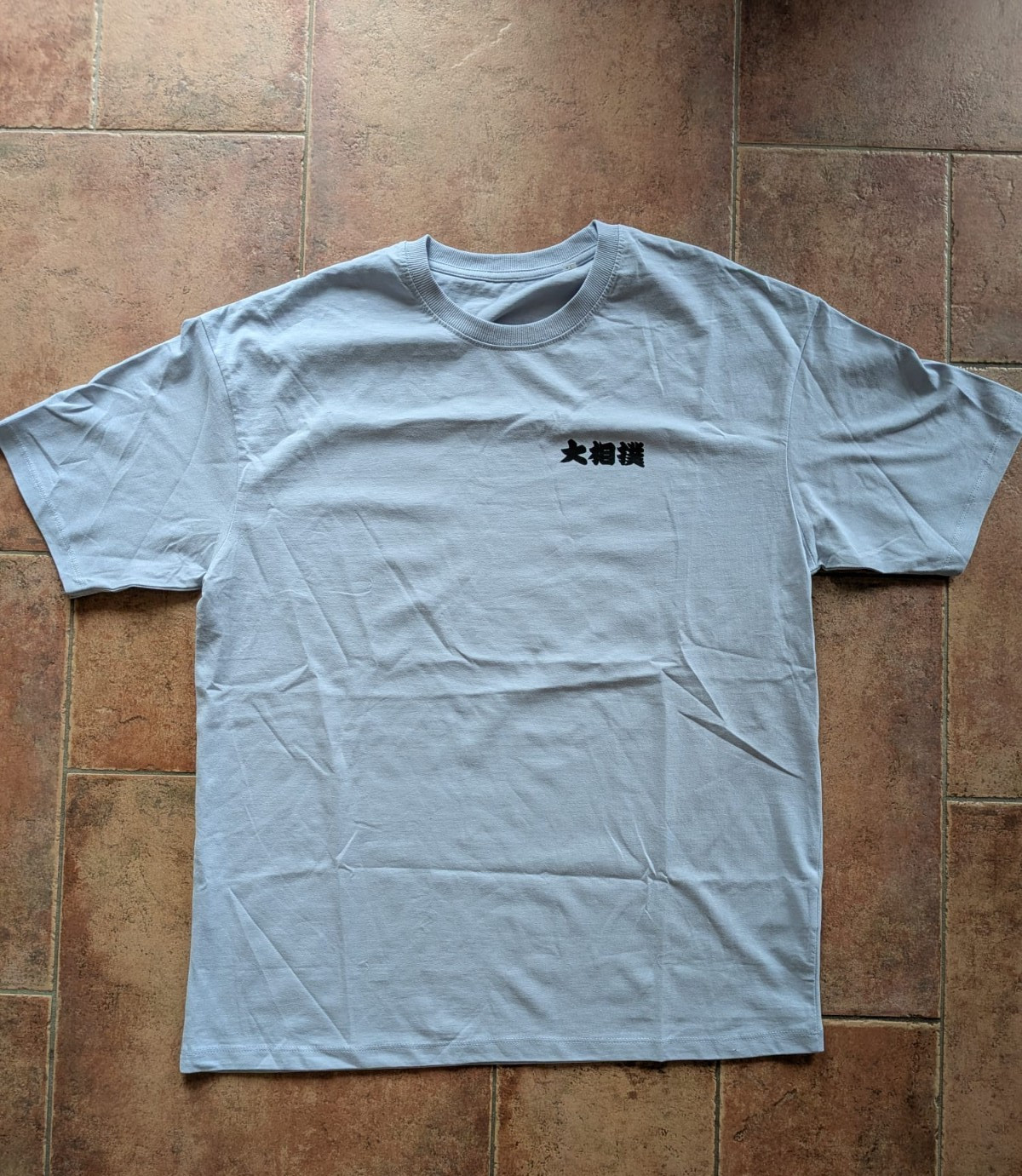 Japan x Paris Sumo Blue T-Shirt – Traditional Artwork Edition