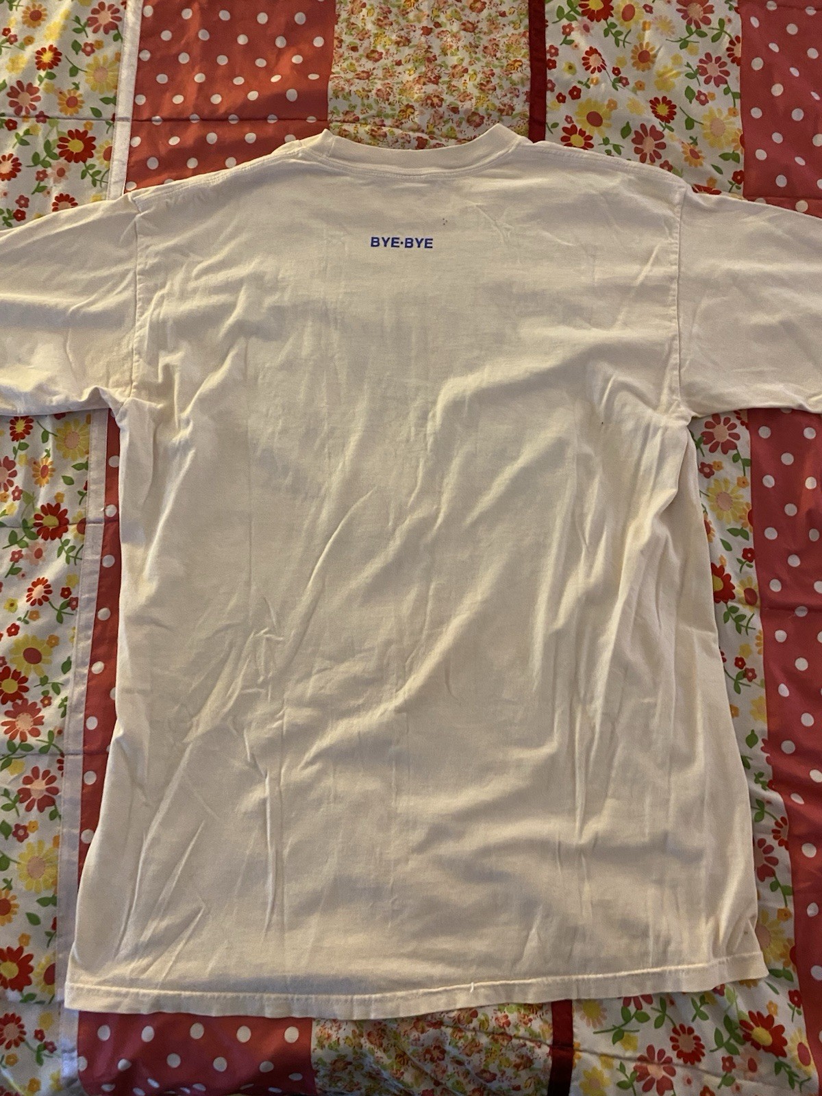 Bye-Bye 1996 Vintage Nature St. Maarten N.A. Iguana Graphic Light Pink T-shirt L