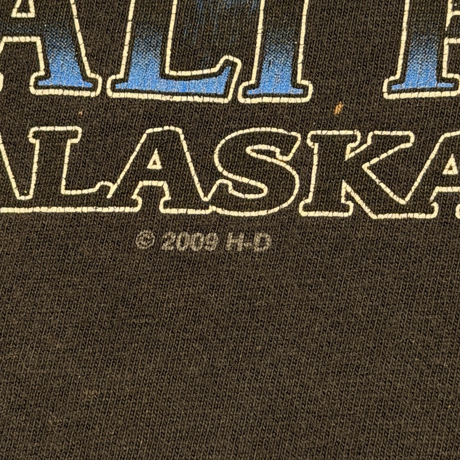 Harley-Davidson Shirt Mens XL Black Mt McKinley Denali Park Alaska Wolf USA VTG