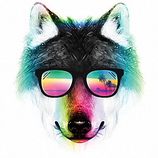 SUMMER WOLF T Shirt T Shirt Religious Shirt God Shirt Holiday Gift Faith T