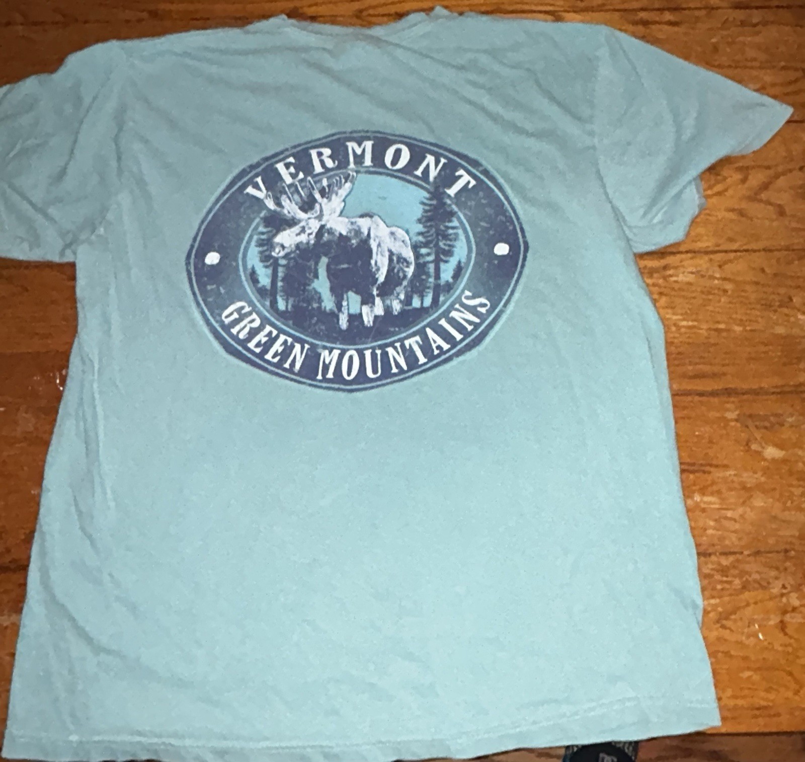 Comfort Colors Vermont Green Mountains cotton t-shirt with moose graphic, Large
