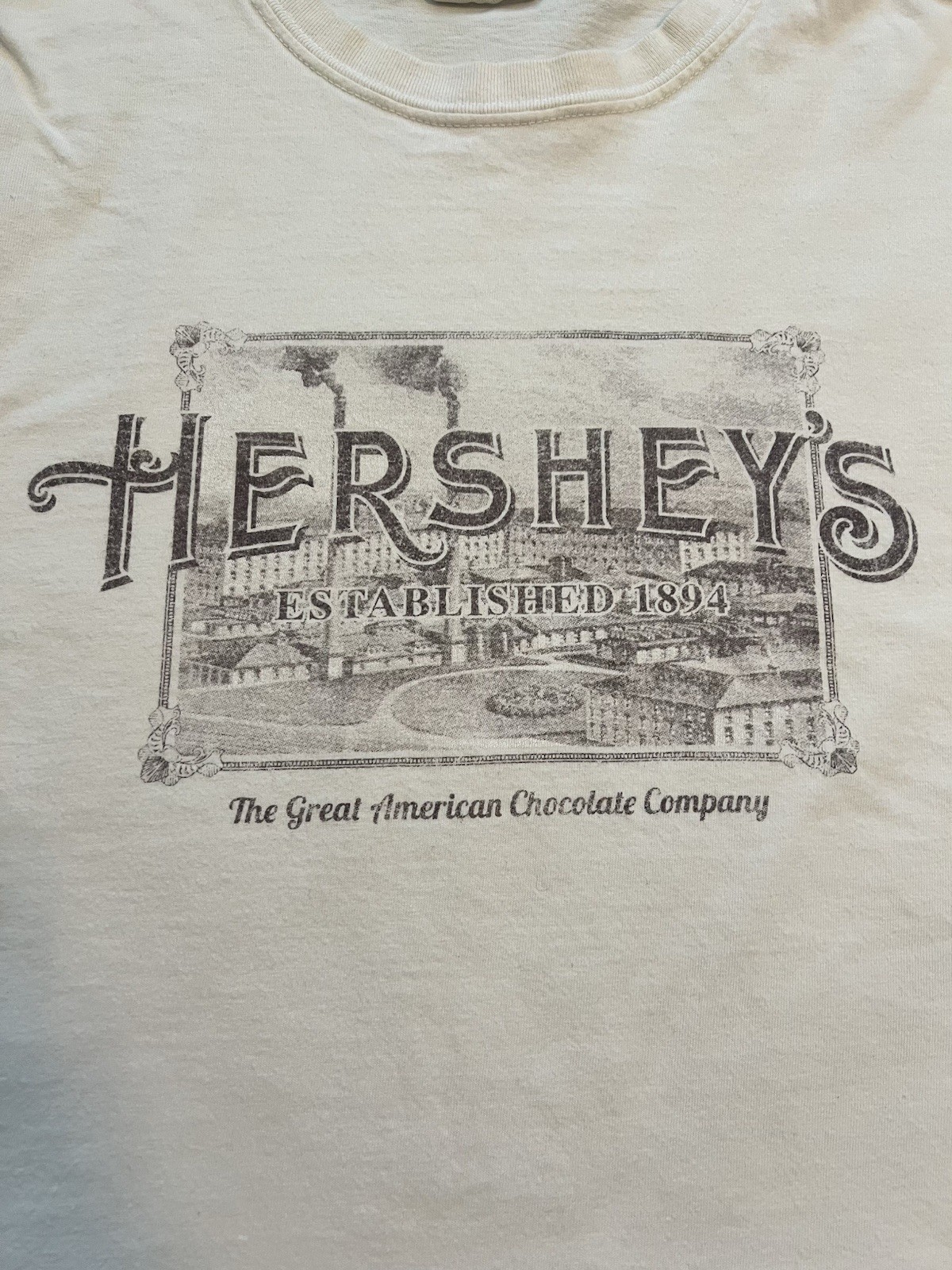 Vintage Hersheys Chocolate Graphic T-Shirt Men’s Size XL Comfort Colors