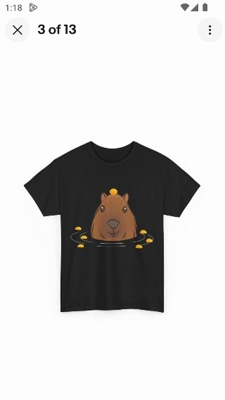 Capybara Orange Shirt, Capybara Lovers Rodents Animals T-Shirt