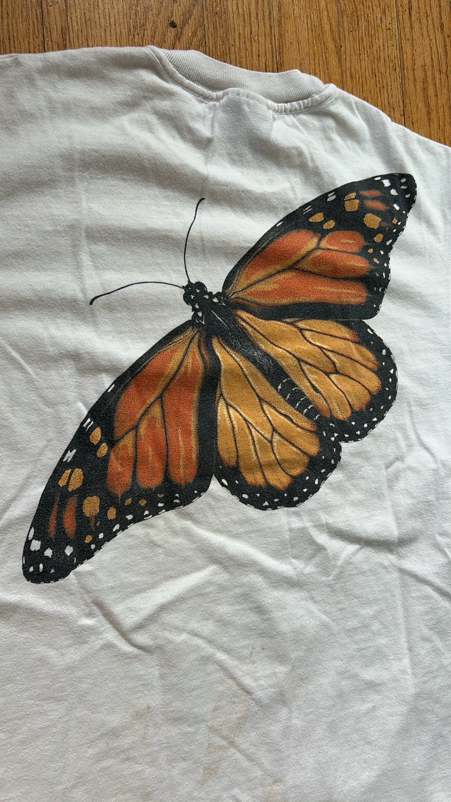 Vintage 1992 Liberty Graphics Monarch butterfly metamorphosis T-shirt