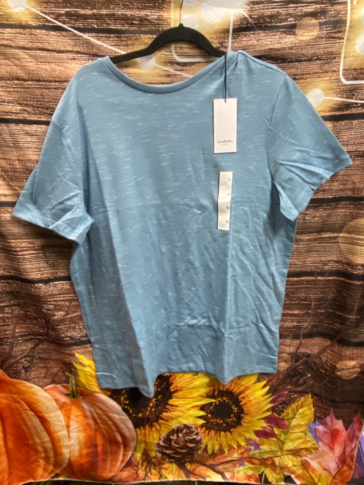 Goodfellow & Co Mens Standard Short Sleeve Novelty T-Shirt – Friendship Blue xl
