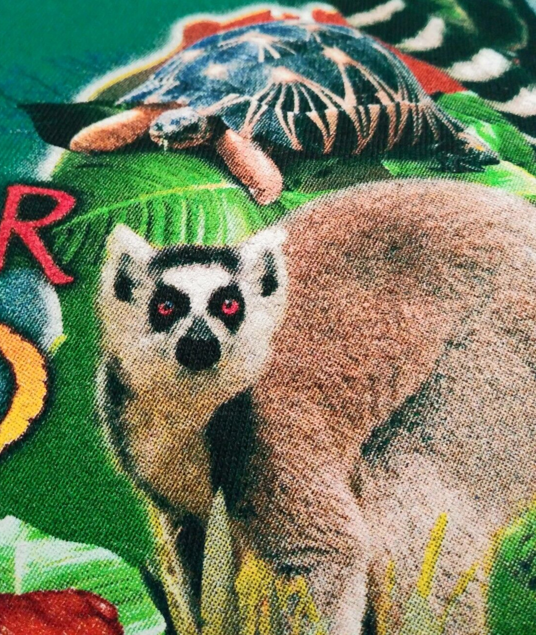 Madagascar Rainforest Forever Wild Forever Free Green T-Shirt Men’s Large