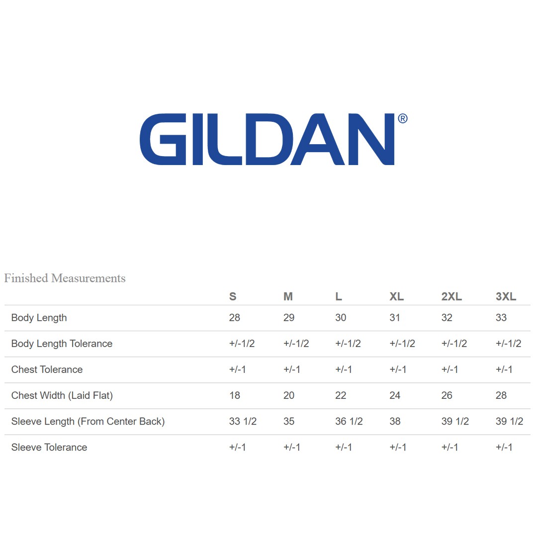 2 Pack Of Gildan G540 Adult Heavy Cotton Blank Tee Casual Plain Sports T-Shirt
