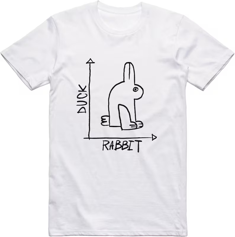 Funny Rabbit Duck Shirt, Novelty Graphic Cotton Tee