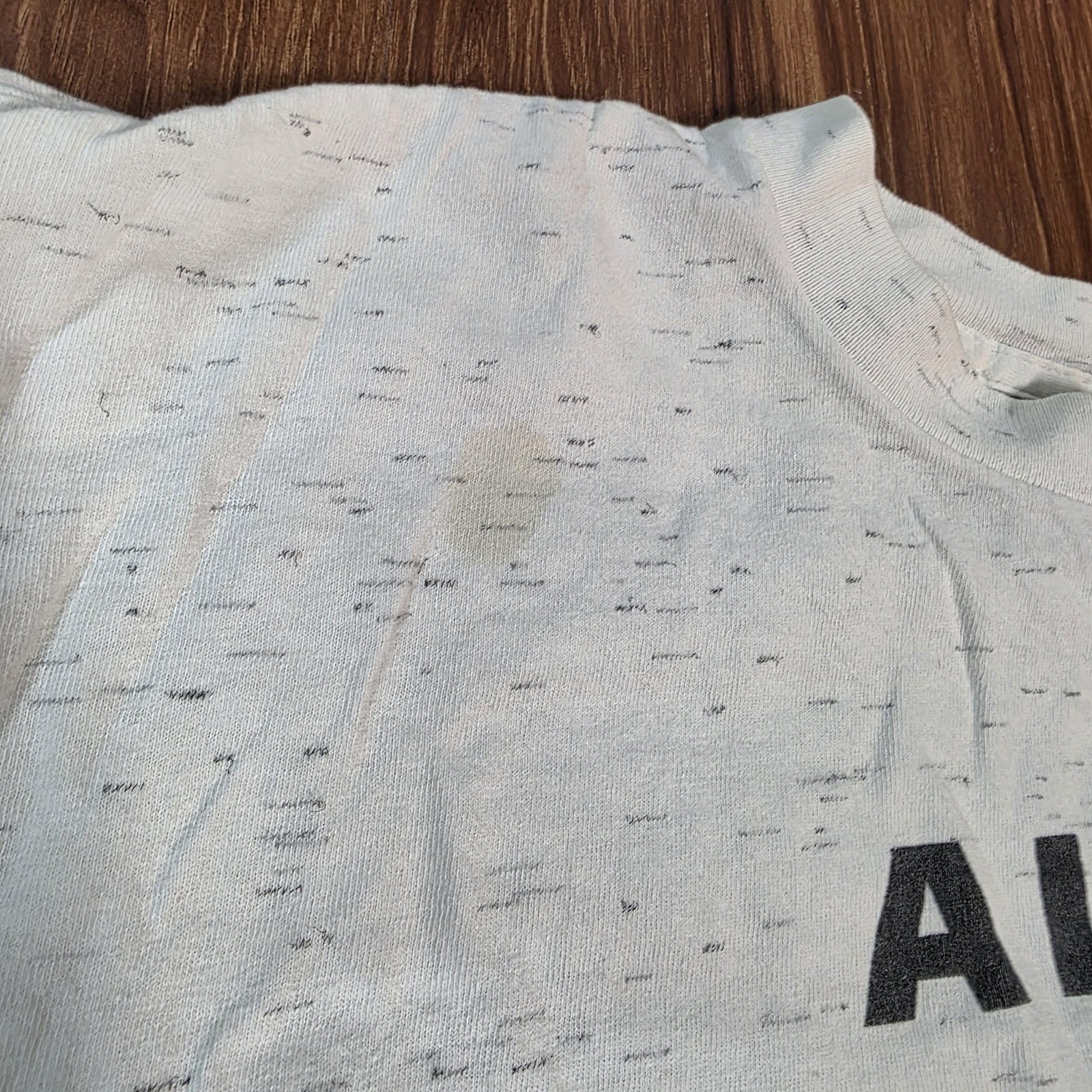 Vintage A Loon A Tick From Minnesota Shirt Mens Large White Oneita Graphic 90s