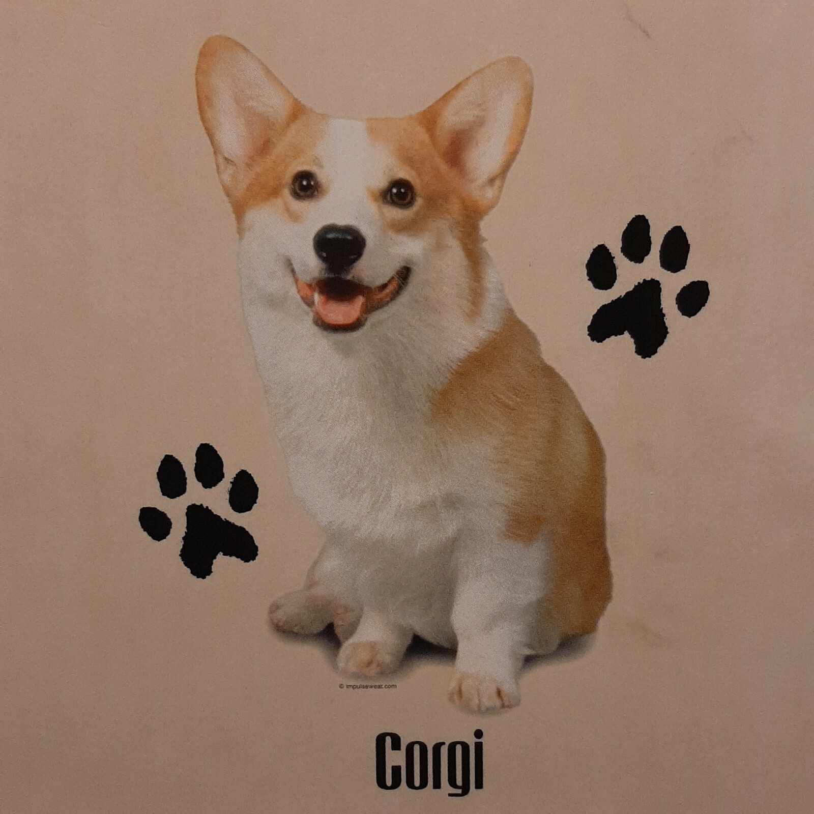 CORGI DOG BREEDS PROFILE DESIGNS SHIRT (FRONT PRINT ONLY)