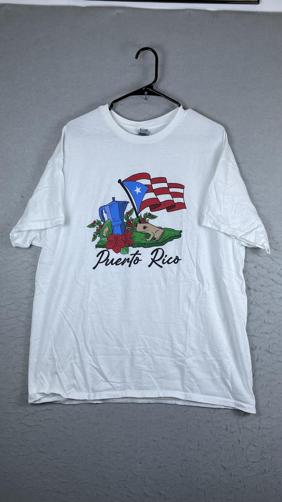 Gildan Shirt Mens XL White Puerto Rico Flag Coqui Graphic Tee T-Shirt Travel