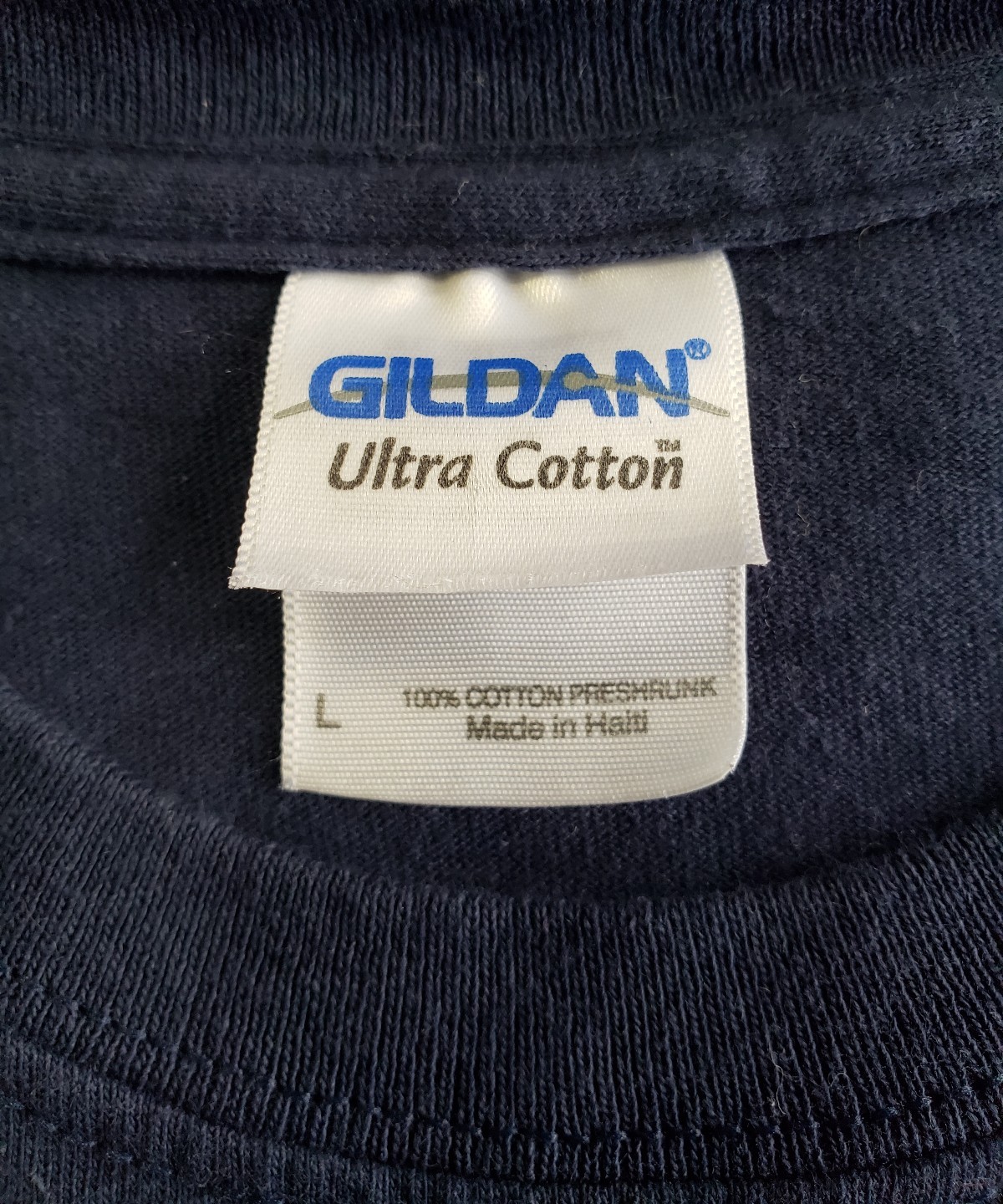 Gildan Graphic T-Shirt Mens L Classic Outdoor Apparel Blue Smoky Mountain