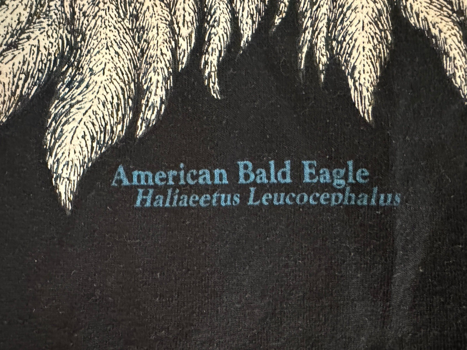 Vintage 90s JERZEES 50/50 Black Bald Eagle Made USA Crew Neck T-Shirt Unisex M