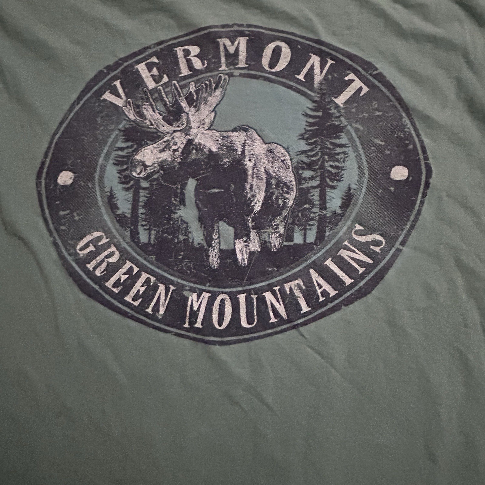 Comfort Colors Vermont Green Mountains cotton t-shirt with moose graphic, Large