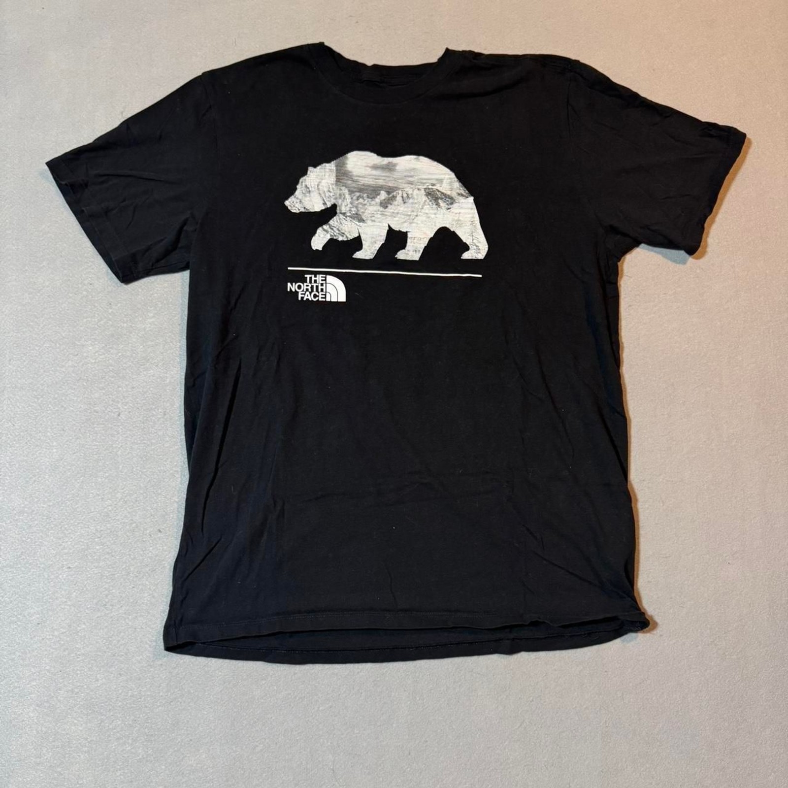 The-north-face Men’s Black and Grey T-shirt
